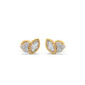 Ring Image