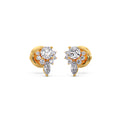 Ring Image