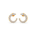 Ring Image