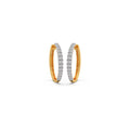 Ring Image