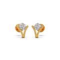 Ring Image