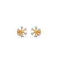Ring Image