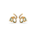 Ring Image