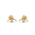 Ring Image