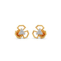 Ring Image