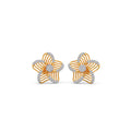 Ring Image