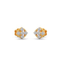 Ring Image