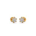 Ring Image