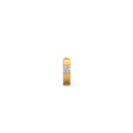 Ring Image