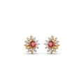 Ring Image