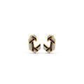 Ring Image