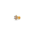 Ring Image