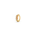 Ring Image