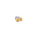 Ring Image