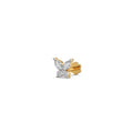 Ring Image