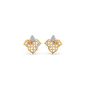 Ring Image