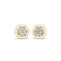 Ring Image