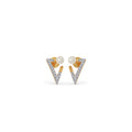 Ring Image