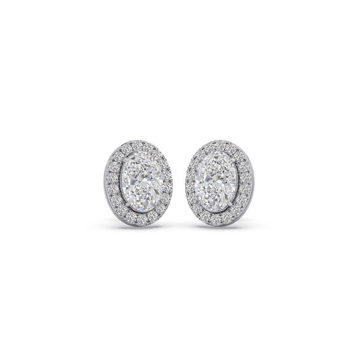 4.80 ct Lucent Oval Solitaire Halo Stud Earrings
