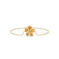 Ring Image