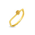 Ring Image
