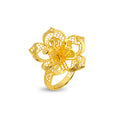 Ring Image