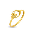 Ring Image