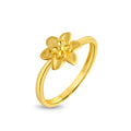 Ring Image