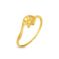 Ring Image