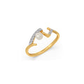 Ring Image