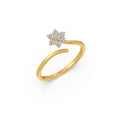 Ring Image