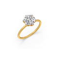 Ring Image