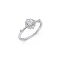 Ring Image