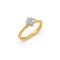 Ring Image