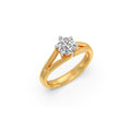 Ring Image
