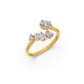 Ring Image