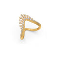 Ring Image