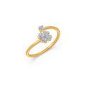 Ring Image
