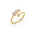 Ring Image